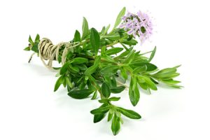 57834952 - bunch of thyme isolated on white background
